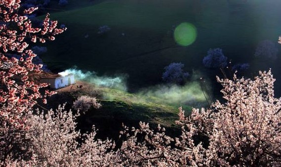 有生之年一定要去次新疆！包揽最缤纷的春季，何况机票比旺季还不止便宜一半~