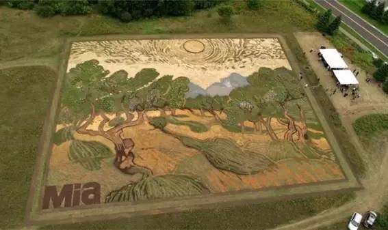 这些疯狂的艺术家们竟然以天地为画布