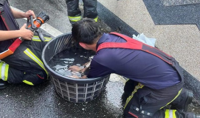 热到快融化？什么降温神器能让你感觉凛冬将至？