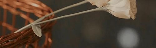 2020年,时尚圈有哪些振奋人心的改变?