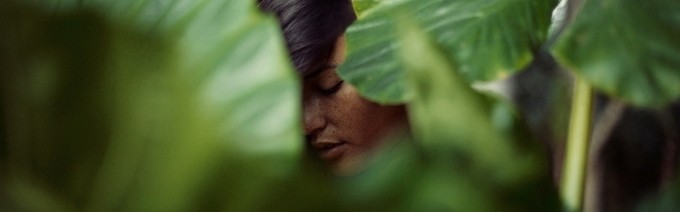 Zissou的影像，让你记起夏天的味道