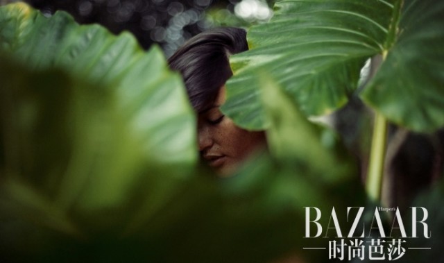 Zissou的影像,让你记起夏天的味道