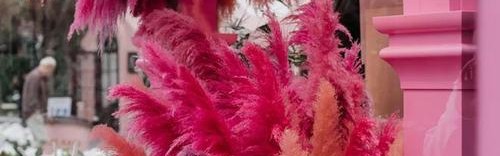 BAZAAR&CAFÉ,春笋楼下的春天