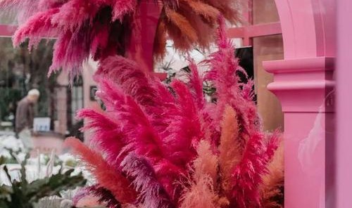 BAZAAR&CAFÉ,春笋楼下的春天