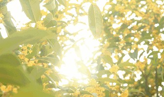 没想到被蓝盈莹安利了这波属于冬天的气味!