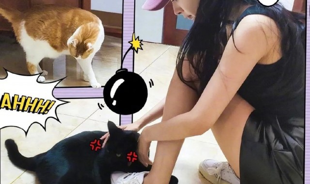 杨幂宋妍霏的衣Q这么高，反季单品的赏味时间怎能错过？