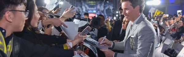 纽特竟然娶了别人?克雷登斯还活着?!神奇动物带你重回魔法世界~