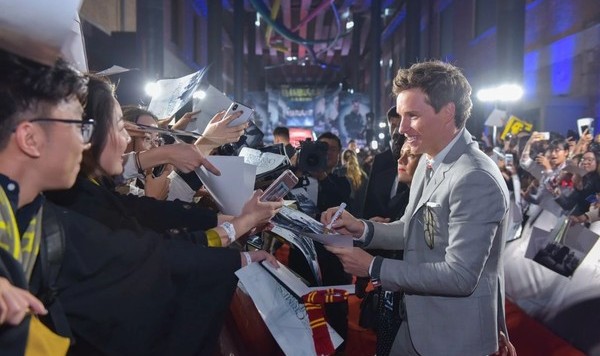 纽特竟然娶了别人?克雷登斯还活着?!神奇动物带你重回魔法世界~