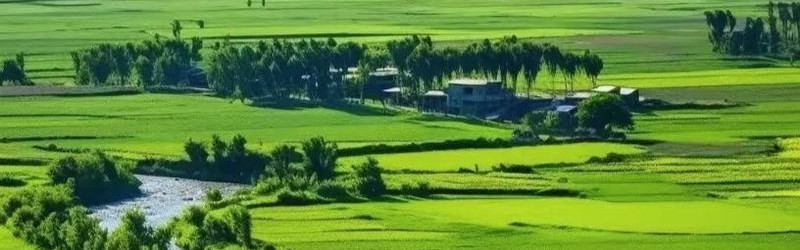与Chloé一起查收这份“行走的”自然山川
