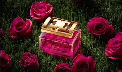 冬季玫瑰芬芳 四款甜美幸福的爱情香水