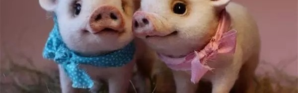 这些竟然都是毛毡做的?难以置信!