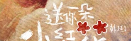 韩延:小红花,开在生活的晦暗里