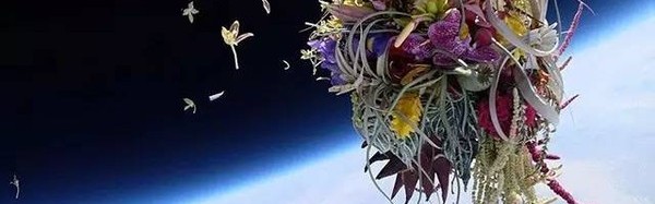 他们撒在这里的种子，长成了艺术!