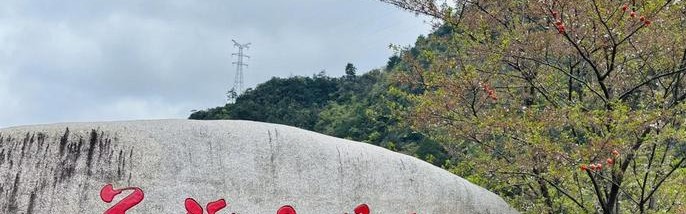 2020花溪攻略大赛 线上线下宣传齐发力 掀起“抒写花溪”新热潮