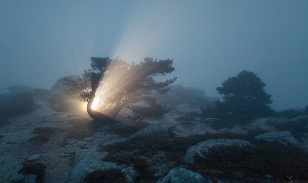 世界上竟有这么多巧合，你还不相信奇迹吗？