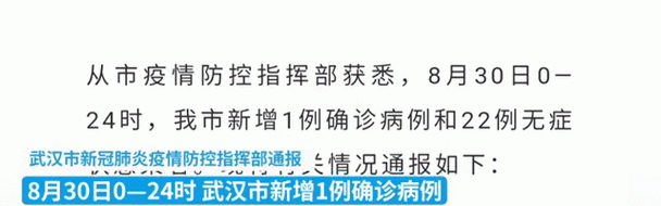 lv官网怎么购买,武汉出现确诊病例湖北首现病例