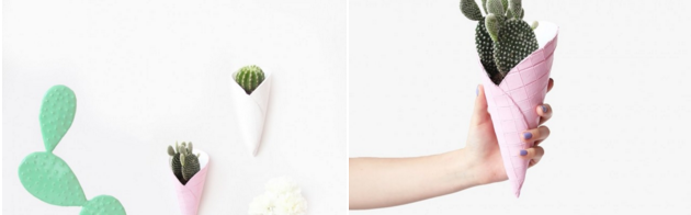 想让居室变温馨？DIY个可爱的蛋卷花盆吧