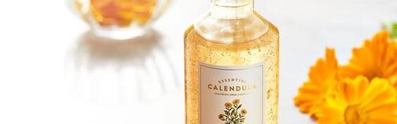 清润舒缓 呵护敏感肌 菲诗小铺明星金盏花系列 重磅新品夏日来袭