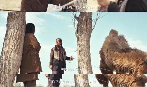 人瘦了，票房拿了，0提名，可惜吗？