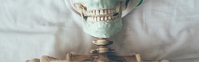 谁说社交网站只有人才能注册？带你去看火爆半边天的骷髅君