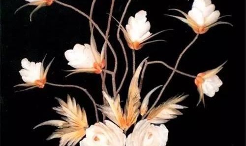 这些竟然都是贝壳开出的花，美哭啦！