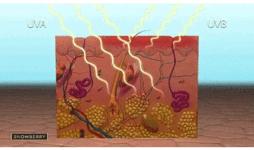 天天谈防晒，到底我们在防什么鬼？！