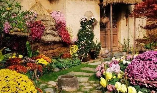 平凡如她们，用花草把日子装扮得五彩缤纷