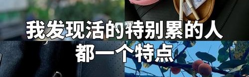 “不自证”后,我过得好多了