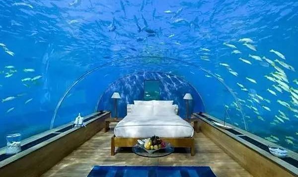 鱼缸设计，土豪家都是这么养鱼的！