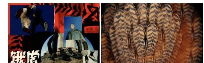 “饿虎”-- VANS x HUATUNAN 虎年联名系列发布，探索虎年精神