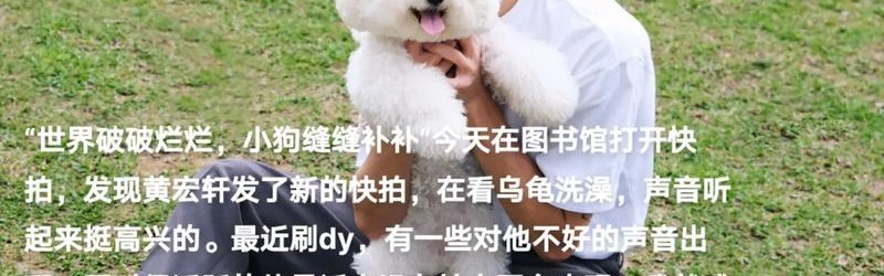 世界破破烂烂，小狗缝缝补补