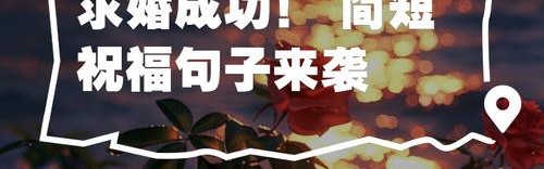一言不合就结婚，花式求婚你get了吗？