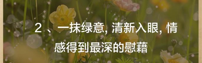 添上一点绿，温情变风情！