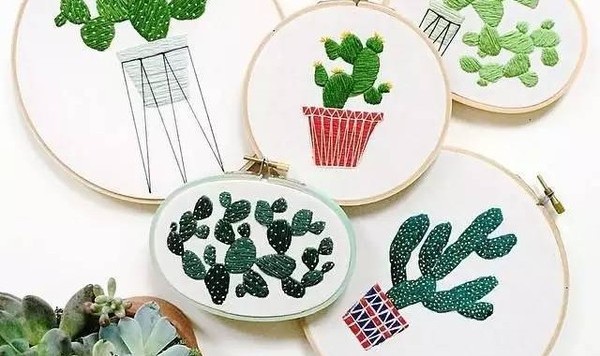 自己种的植物如何永远陪伴你？ 她是这样做的