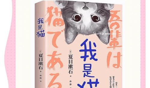 如果一个猫奴恰好是设计师的话......