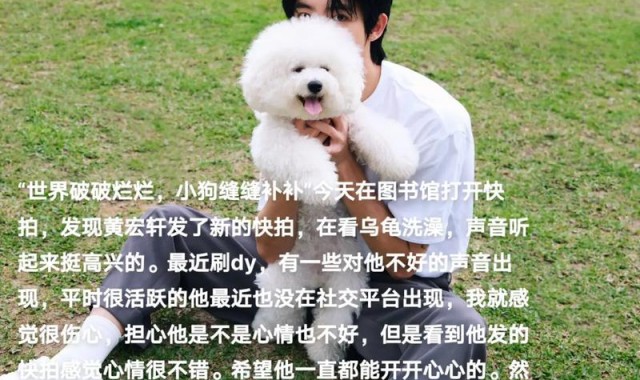 世界破破烂烂，小狗缝缝补补