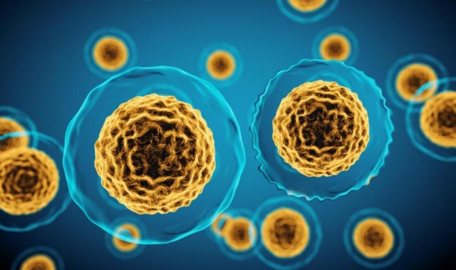 抗衰，让人体“长寿基因”充满活力