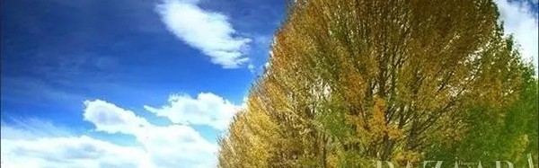 九月不去再等一年，这些国内的美景会让你相信仙境！