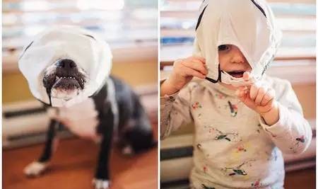 全世界最会晒娃的3位妈妈 都不会落下家里的小萌宠