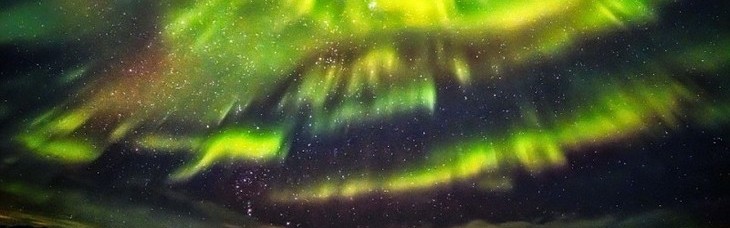 极地居然现凤凰!这可能是你见过的最美极光