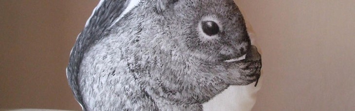 拥有这样一件动物系抱枕,睡觉都会香甜