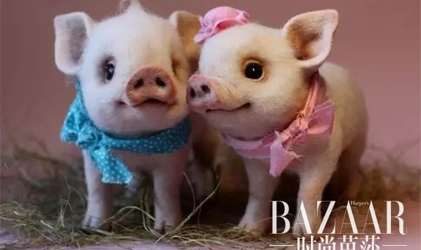 这些竟然都是毛毡做的？难以置信！