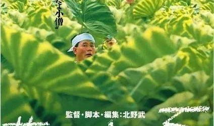 没有这些夏日电影，这个夏天算是熬不过去了