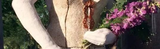 用树叶“种”出来的婚纱,你会穿吗?