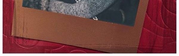 妮娜·杜波夫退出《吸血鬼日记》，6年追剧终成回忆！