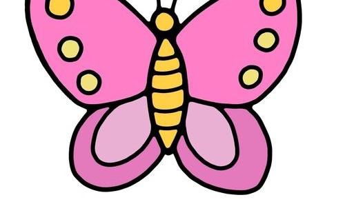 动物图案简笔画,动物蝴蝶简笔画教你学画