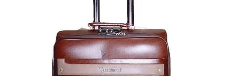 真皮拉杆箱包,拉杆盒什么牌子好？