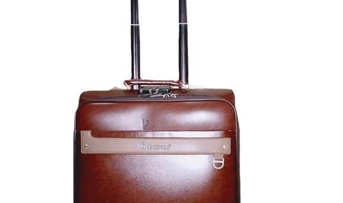 真皮拉杆箱包,拉杆盒什么牌子好？