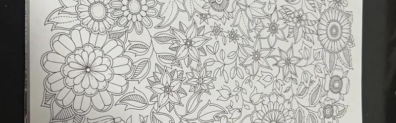 减压不只有《秘密花园》,为这些城市填色更高级!