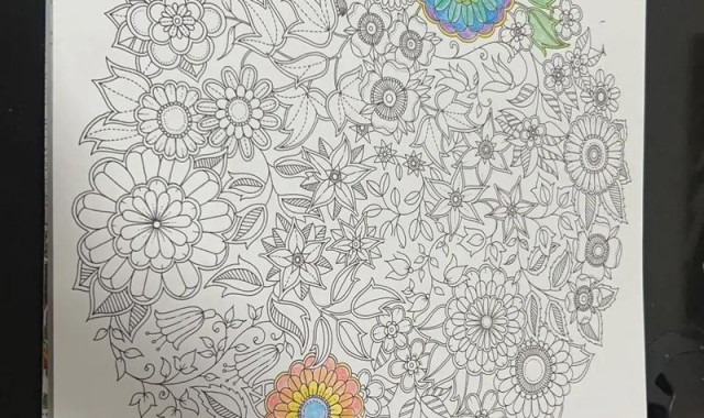 减压不只有《秘密花园》,为这些城市填色更高级!